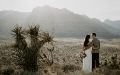 The Basics of Destination Wedding Planning for the Not-At-All-Basic Couple